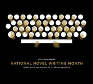 nanowrimo