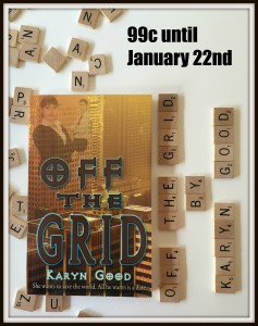 Off The Grid by Karyn Good